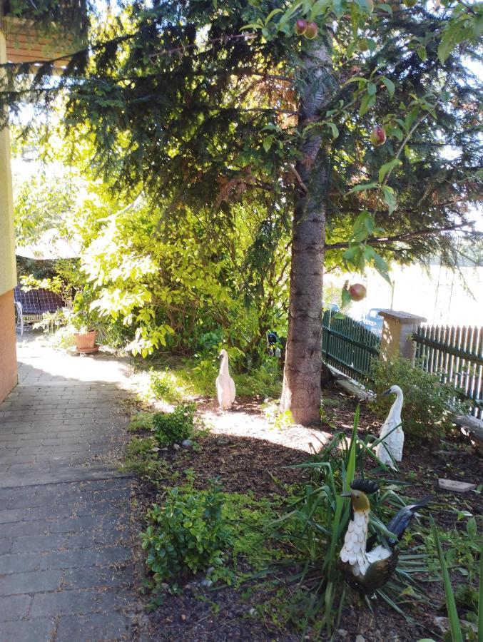 B&B Family Basement Apartment, Breakfast, Free Parking, 5Km From Tulln Chorherrn Экстерьер фото