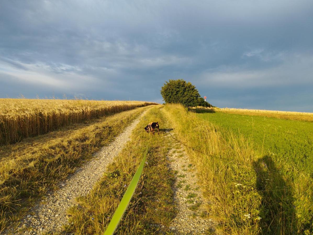 B&B Family Basement Apartment, Breakfast, Free Parking, 5Km From Tulln Chorherrn Экстерьер фото